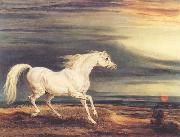 James Ward Napoleon's Horse,Marengo at Waterloo oil painting